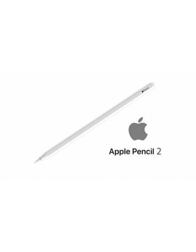 Foto do Produto Apple Pencil 2ª Geração Mu8f2am/a A2051