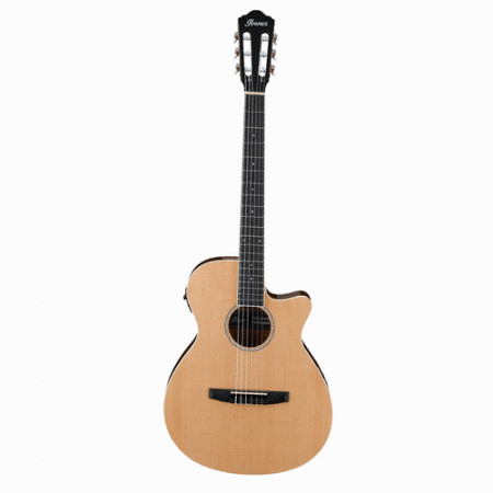 Foto do Produto VIOLAO IBANEZ AEG7TN-NT 3
