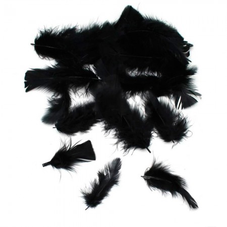 Foto do Produto Penas Decorativas para Festa 100 Unidades - Preto