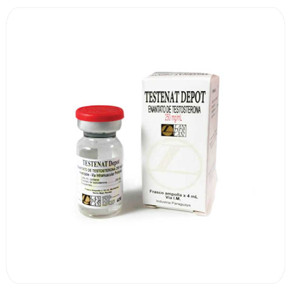 Foto do Produto LANDERLAN TESTENAT DEPOT ENANTATO DE TESTOSTERONA 250 MG - 4ML