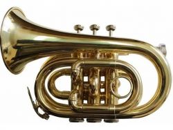 Foto do Produto FONTAI TROMPETE DE BOLSILLO FT6500 DOURADO