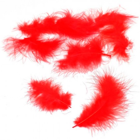 Foto do Produto Penas Decorativas para Festa 100 Unidades - Vermelho