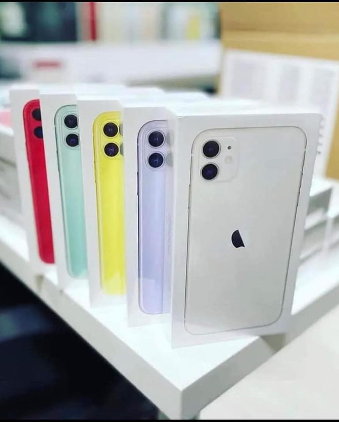 Foto do Produto CAIXA VAZIA 11 GREEN