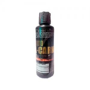 l carnitina landerfit L-Carnitine 3000mg 473ml Laranja na loja Jack Center no Paraguai dr blanc glutathione serum scar protocol Flavor:Wild Cherry