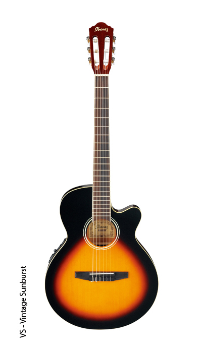 Foto do Produto VIOLAO IBANEZ AEG-6 TNG