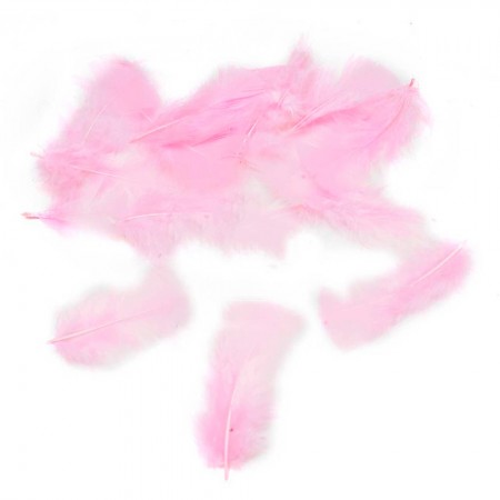 Foto do Produto Penas Decorativas para Festa 100 Unidades - Rosa